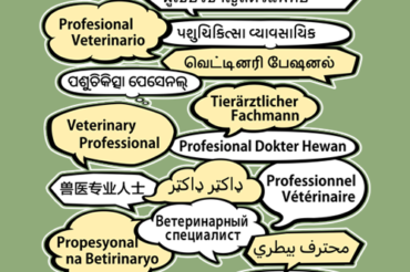 Veterinary Professional In Different Languages Design